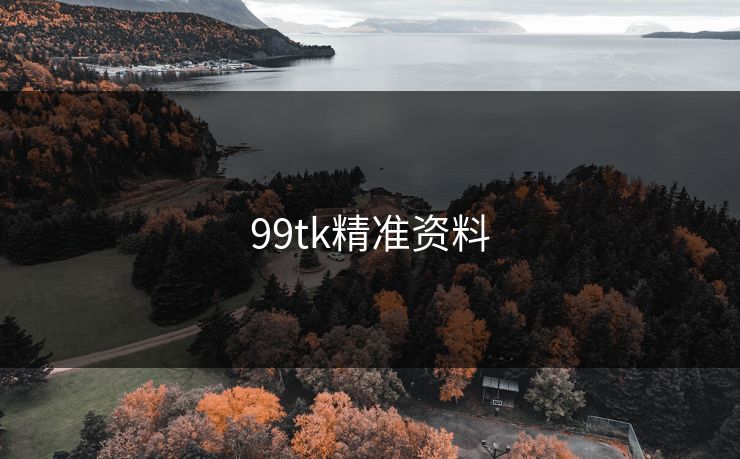 99tk精准资料