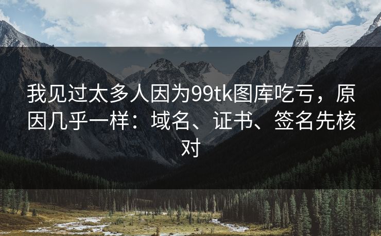 我见过太多人因为99tk图库吃亏，原因几乎一样：域名、证书、签名先核对