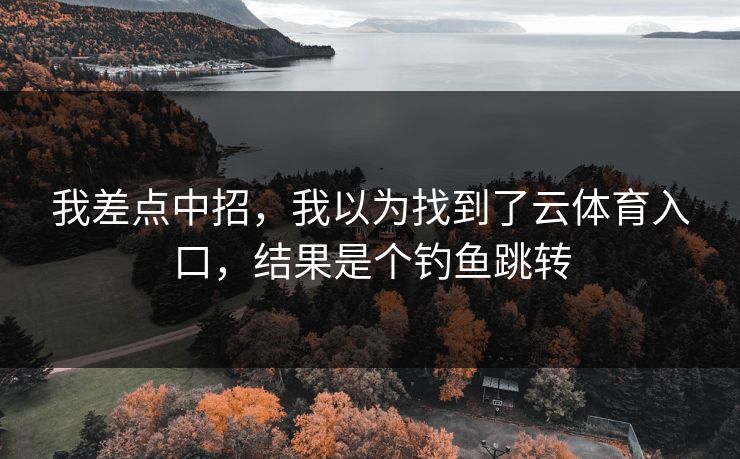我差点中招，我以为找到了云体育入口，结果是个钓鱼跳转