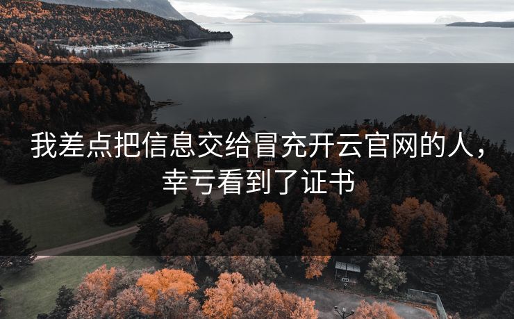 我差点把信息交给冒充开云官网的人，幸亏看到了证书