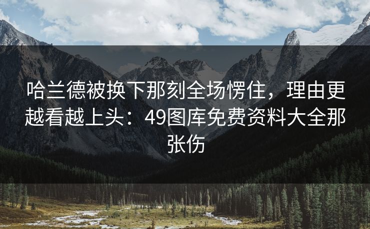 哈兰德被换下那刻全场愣住，理由更越看越上头：49图库免费资料大全那张伤