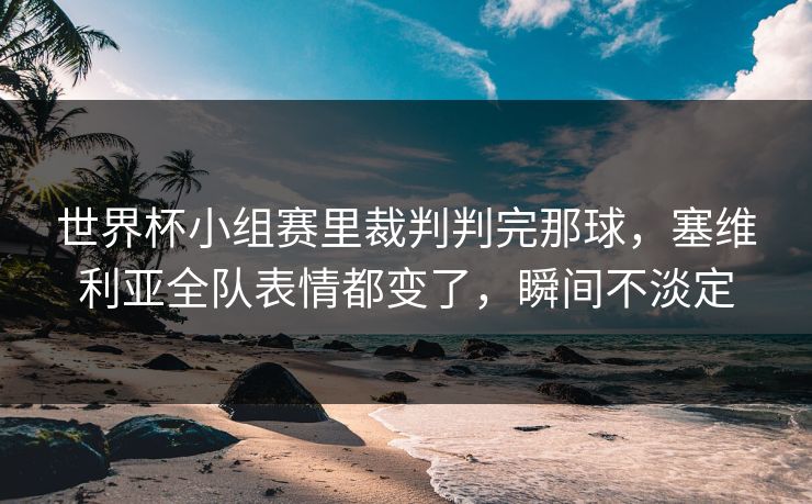 世界杯小组赛里裁判判完那球，塞维利亚全队表情都变了，瞬间不淡定